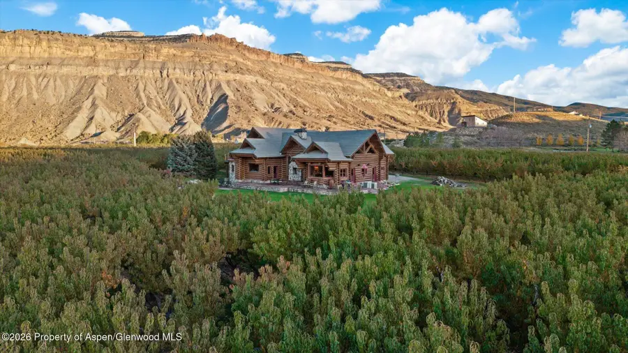 3875 F 3/4 Road, Palisade, CO 81526 - #2