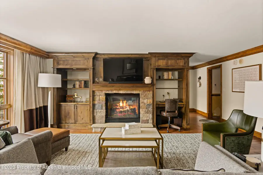 315 E Dean Street #B55, Aspen, CO 81611 - #2