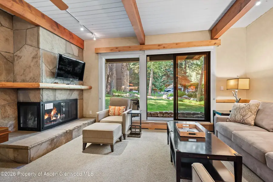 610 S West End Street #D105, Aspen, CO 81611 - #2