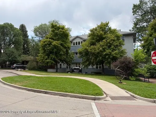 60 S 8th Street #301, Carbondale, CO 81623