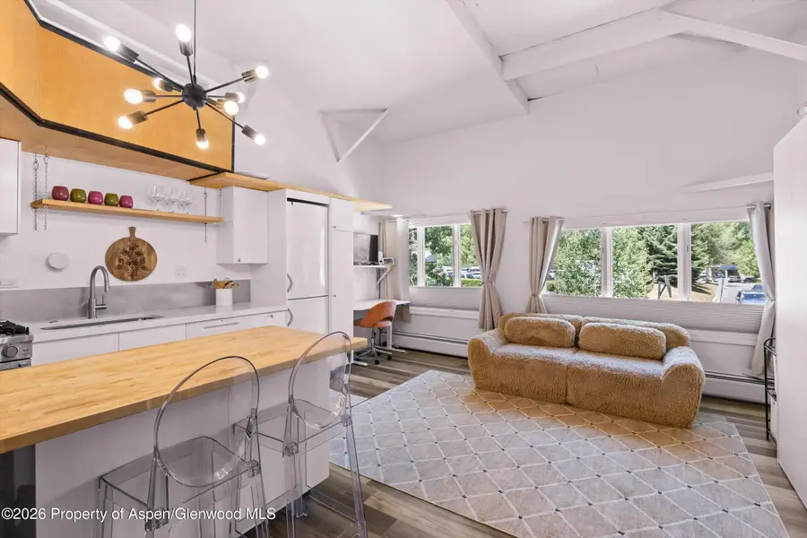 412 N Mill Street #B9, Aspen, CO 81611 - #2