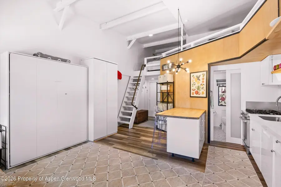 412 N Mill Street #B9, Aspen, CO 81611 - #3