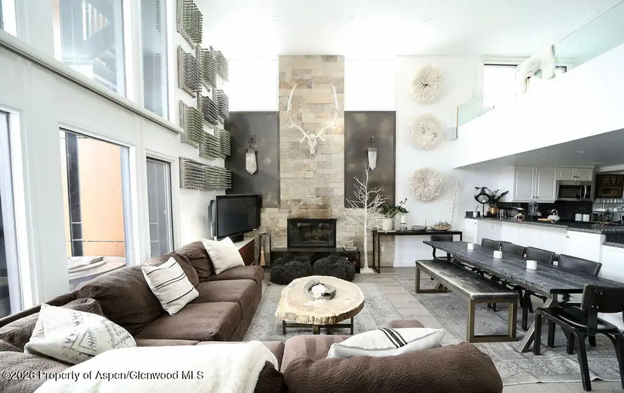 800 S Mill Street #101-C, Aspen, CO 81611 - #3