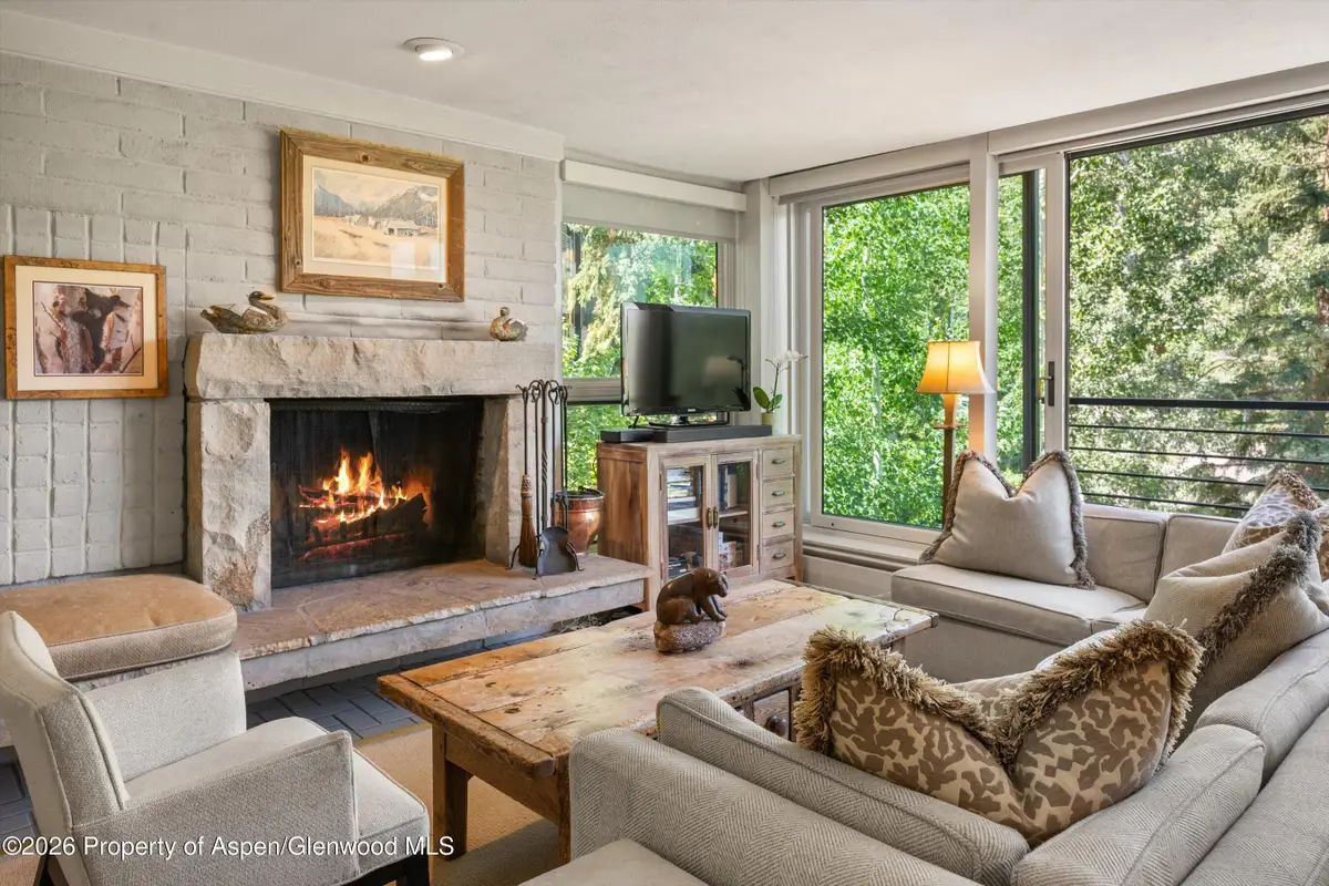 728 S Galena Street #202-B, Aspen, CO 81611 - #1