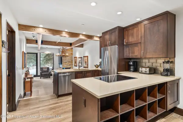 610 S West End Street #E103, Aspen, CO 81611