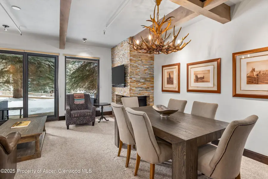 610 S West End Street #E103, Aspen, CO 81611 - #3