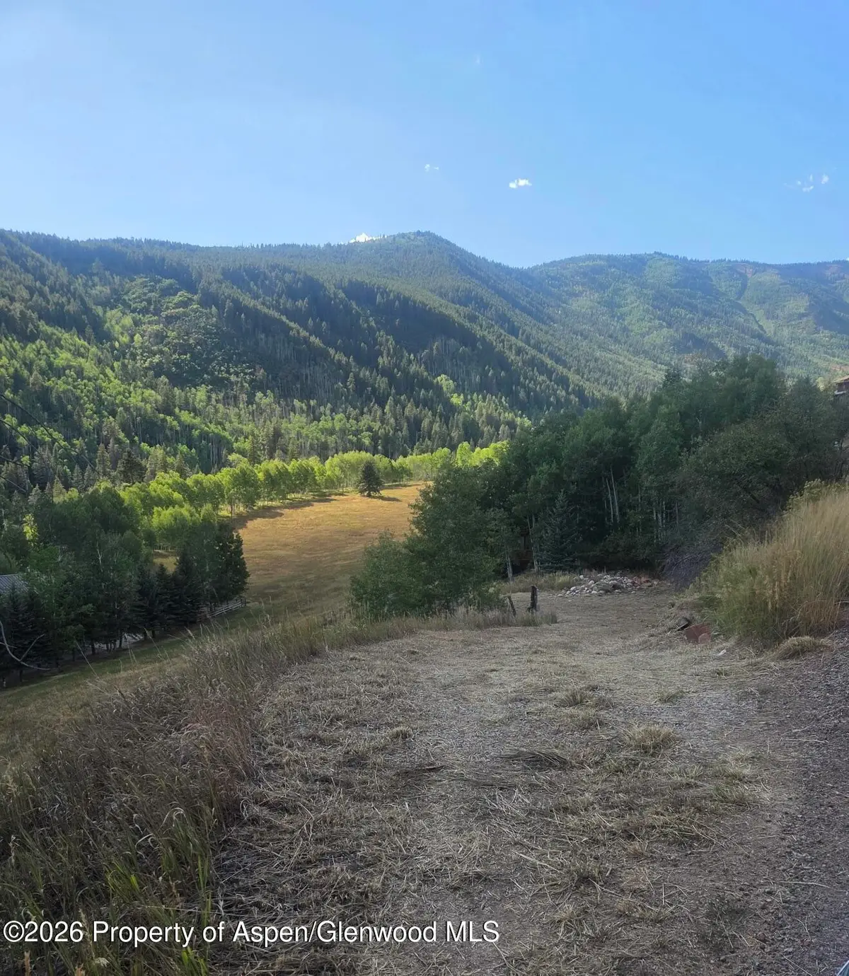 449 Mclaughlin Lane, Basalt, CO 81621 - #1