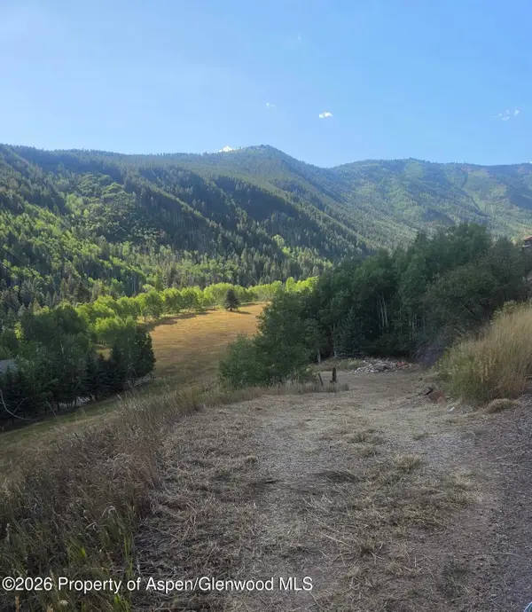 449 Mclaughlin Lane, Basalt, CO 81621