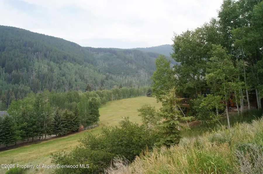 449 Mclaughlin Lane, Basalt, CO 81621 - #2