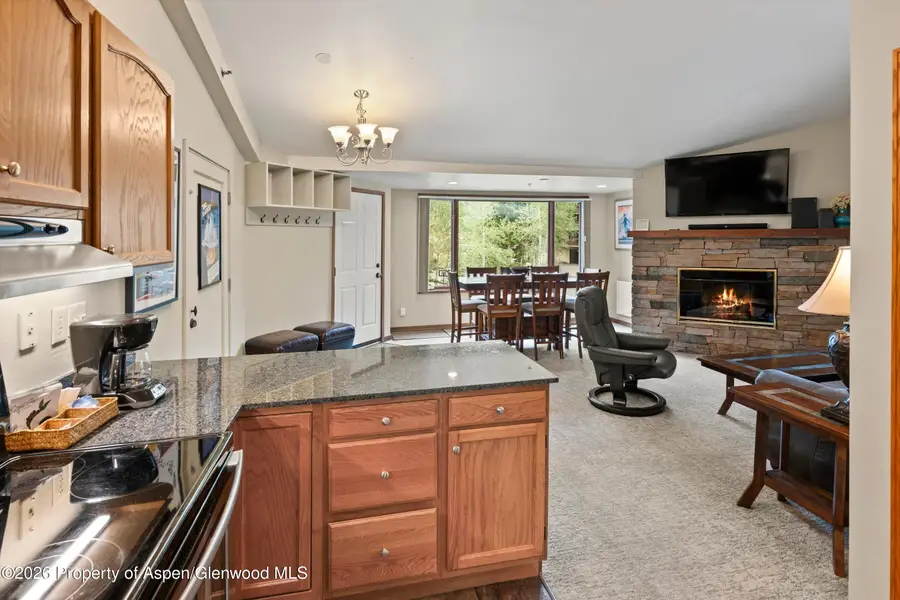 65 Campground Lane #54, Snowmass Village, CO 81615 - #2
