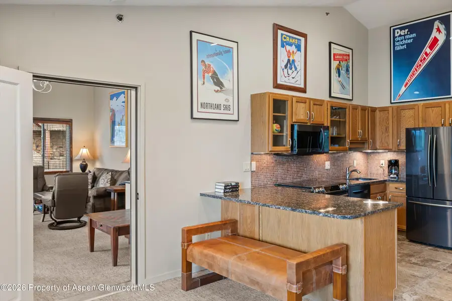 65 Campground Lane #55, Snowmass Village, CO 81615 - #3