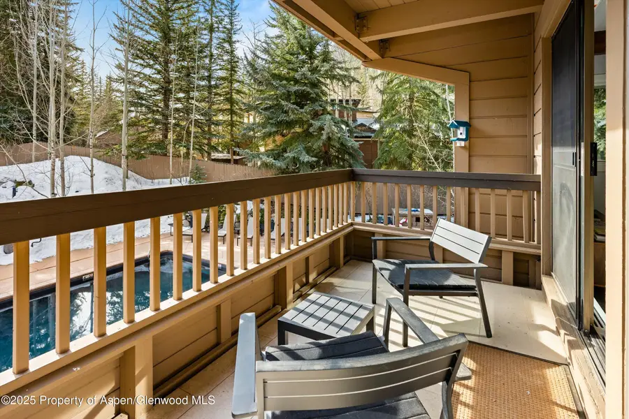 610 S West End Street #G204, Aspen, CO 81611 - #3
