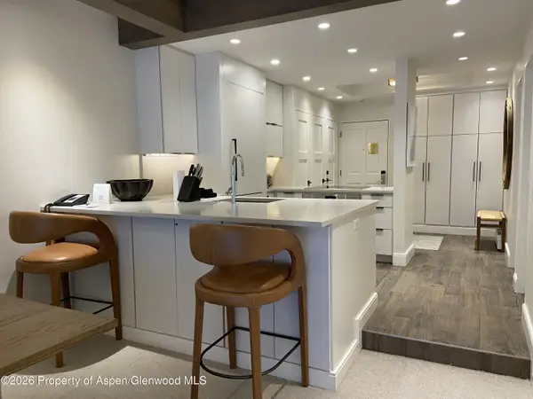 610 S West End Street #K203, Aspen, CO 81611