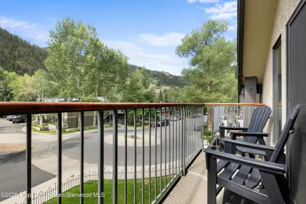 1020 E Durant Avenue #301, Aspen, CO 81611