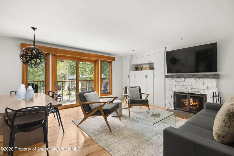 1020 E Durant Avenue #301, Aspen, CO 81611 - #2