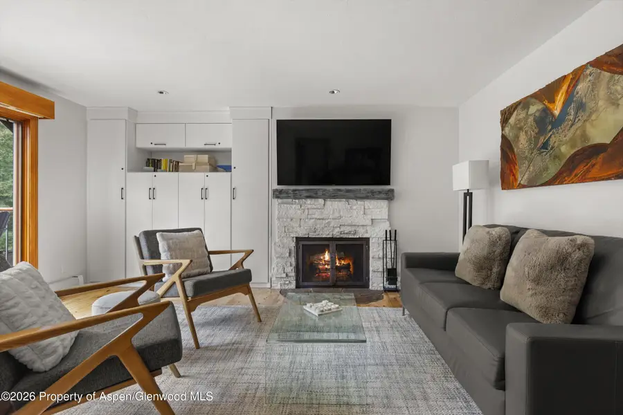 1020 E Durant Avenue #301, Aspen, CO 81611 - #3