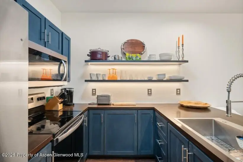 1400 E Valley Road #110, Basalt, CO 81621 - #2