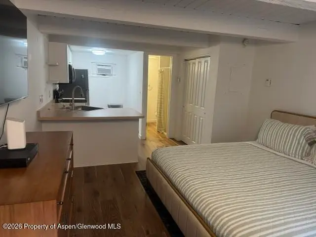 914 Waters Avenue #Unit 8, Aspen, CO 81611 - #2