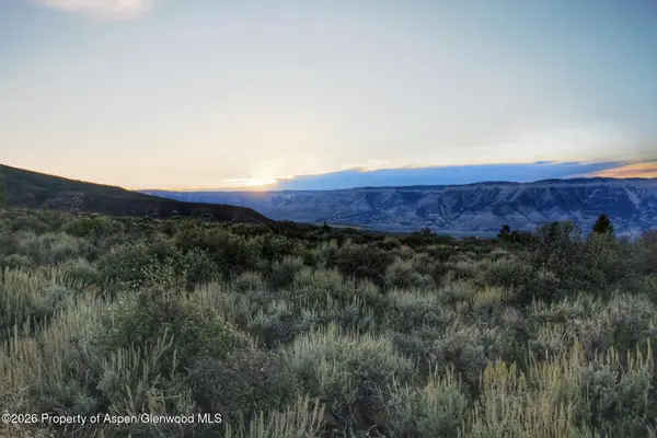 Tbd County Road 317, Rifle, CO 81650