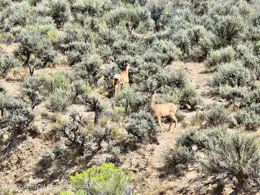 3986 County Road 103, Craig, CO 81625 - #3