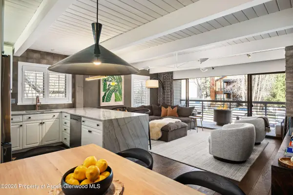 825 E Hopkins Avenue #2n, Aspen, CO 81611