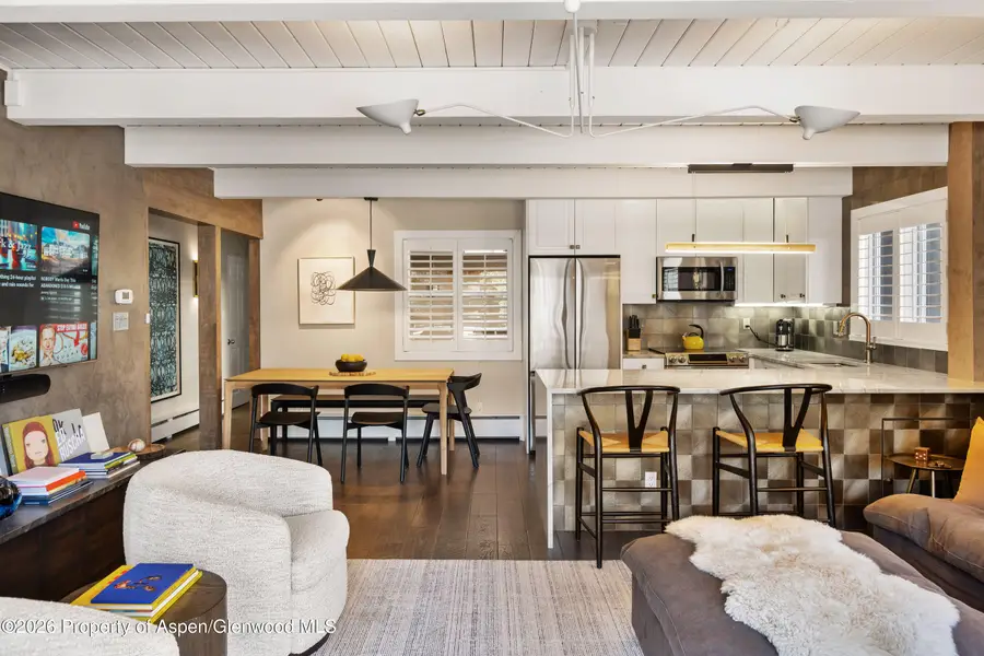 825 E Hopkins Avenue #2n, Aspen, CO 81611 - #2