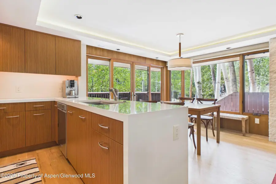400 W Hopkins Avenue #6/7, Aspen, CO 81611 - #3