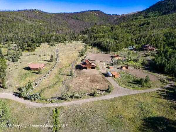 4320 Forest Road 503, Creede, CO 81130