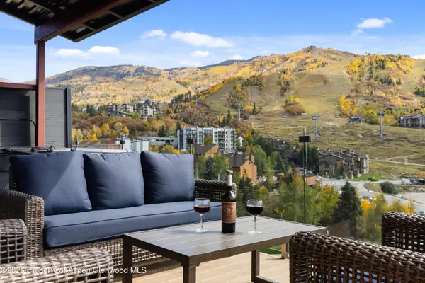 1855 Burgess Creek Road #3 & 4, Steamboat, CO 80487