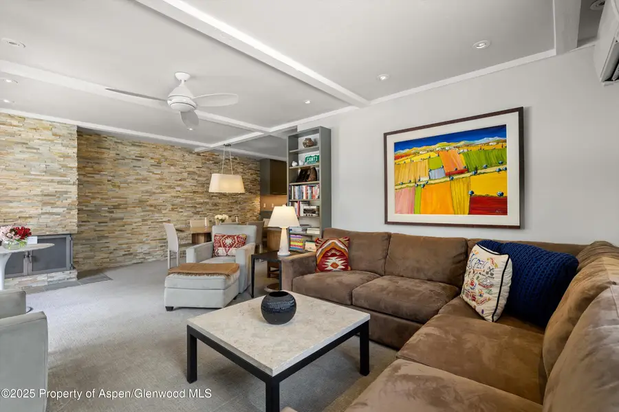 610 S West End Street #K201, Aspen, CO 81611 - #3