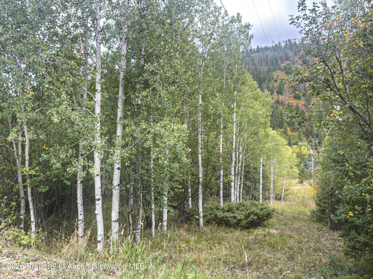 62 Aspen Street, Redstone, CO 81623 - #1