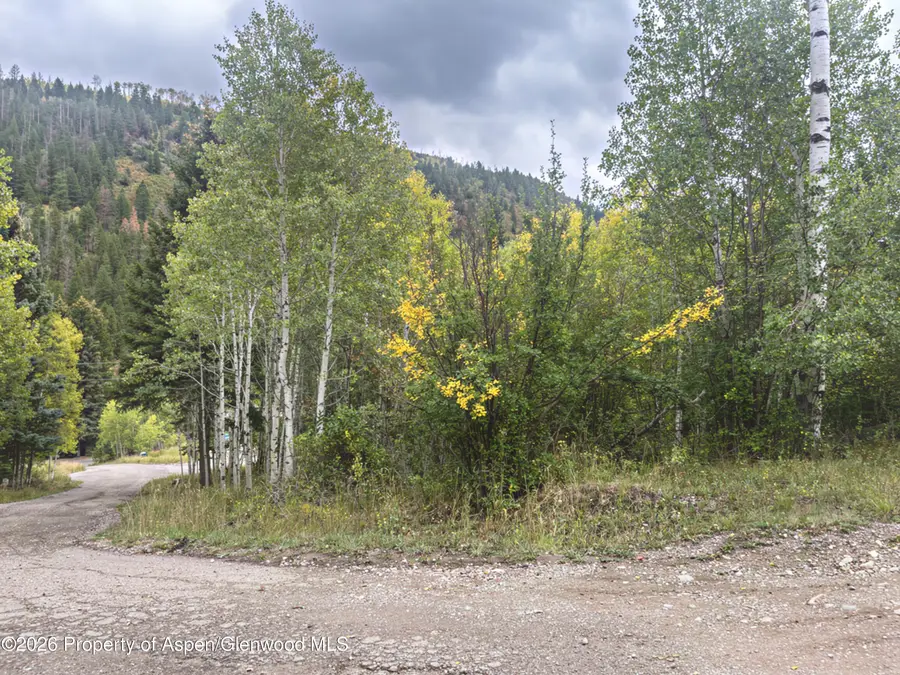 62 Aspen Street, Redstone, CO 81623 - #2