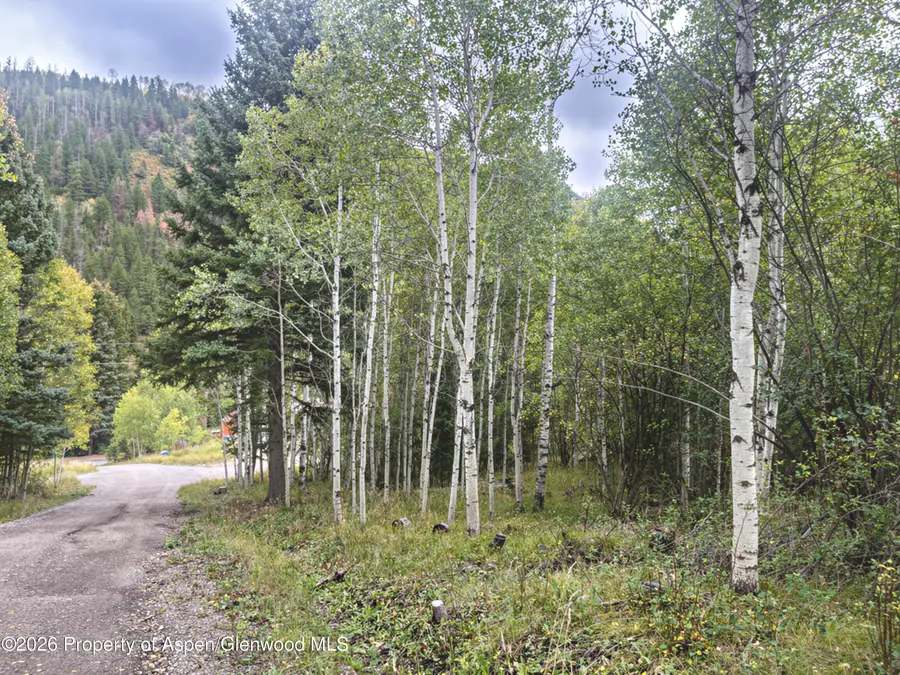 62 Aspen Street, Redstone, CO 81623 - #3