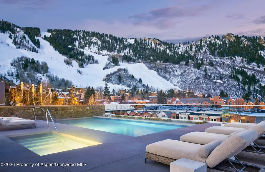 501 E Dean Street #F410, Aspen, CO 81611 - #3
