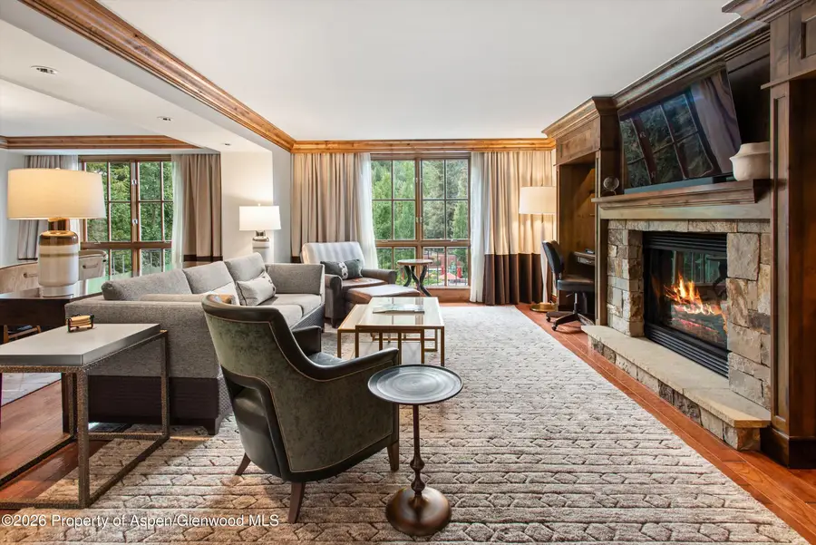315 E Dean Street #B51, Aspen, CO 81611 - #3