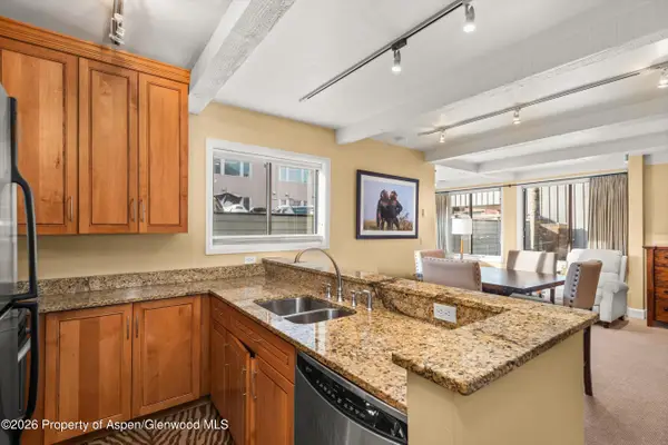 709 E Main Street #201, Aspen, CO 81611