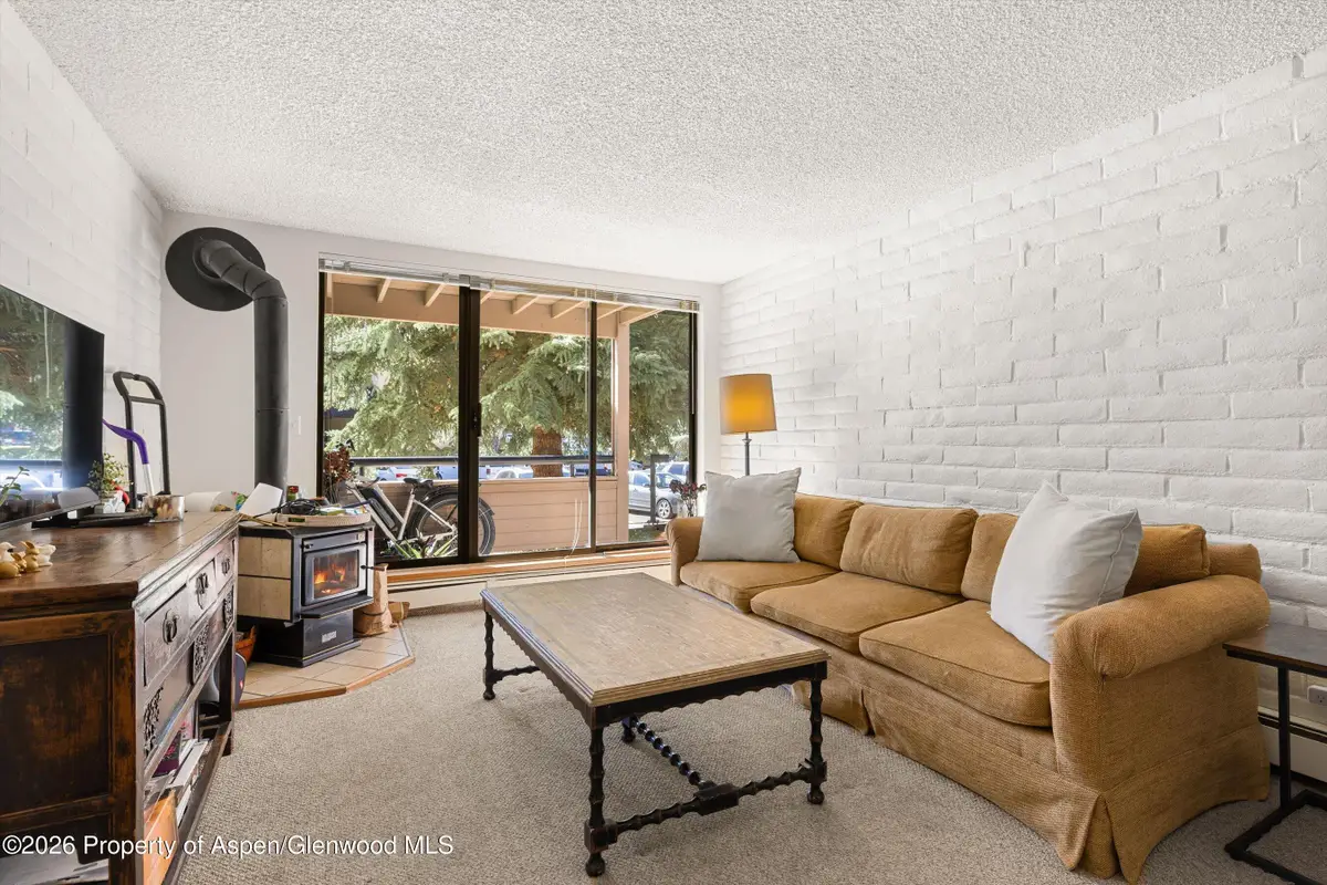 211 Vine Street #201, Aspen, CO 81611 - #1