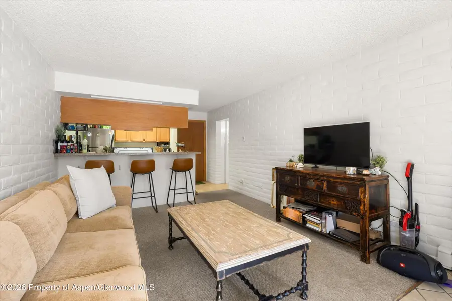 211 Vine Street #201, Aspen, CO 81611 - #2