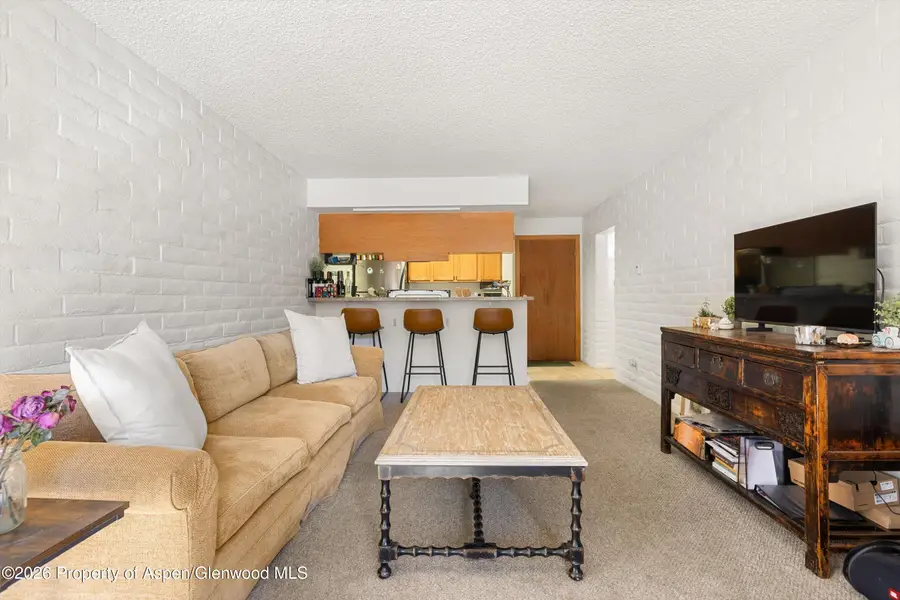 211 Vine Street #201, Aspen, CO 81611 - #3