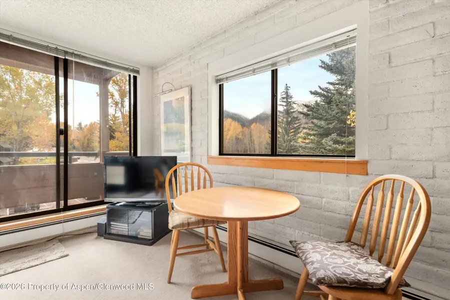 131 Vine Street, Aspen, CO 81611 - #3