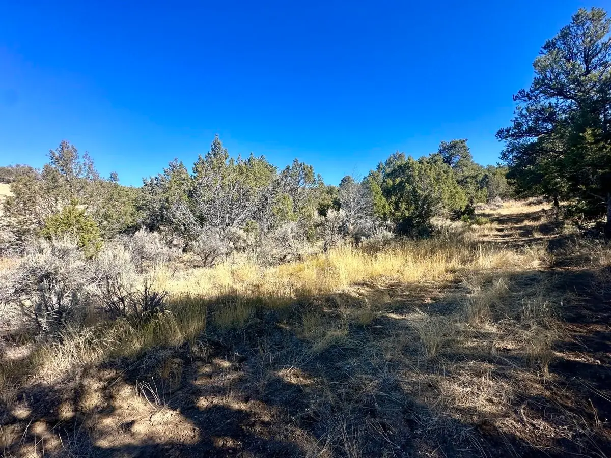 TBD Cactus Park Road, Cedaredge, CO 81413 - Image #1