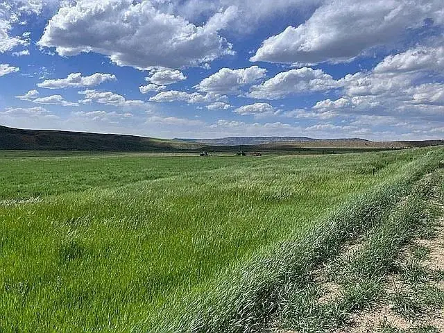 3719 County Road 45, Hamilton, CO 81638 - Image #3