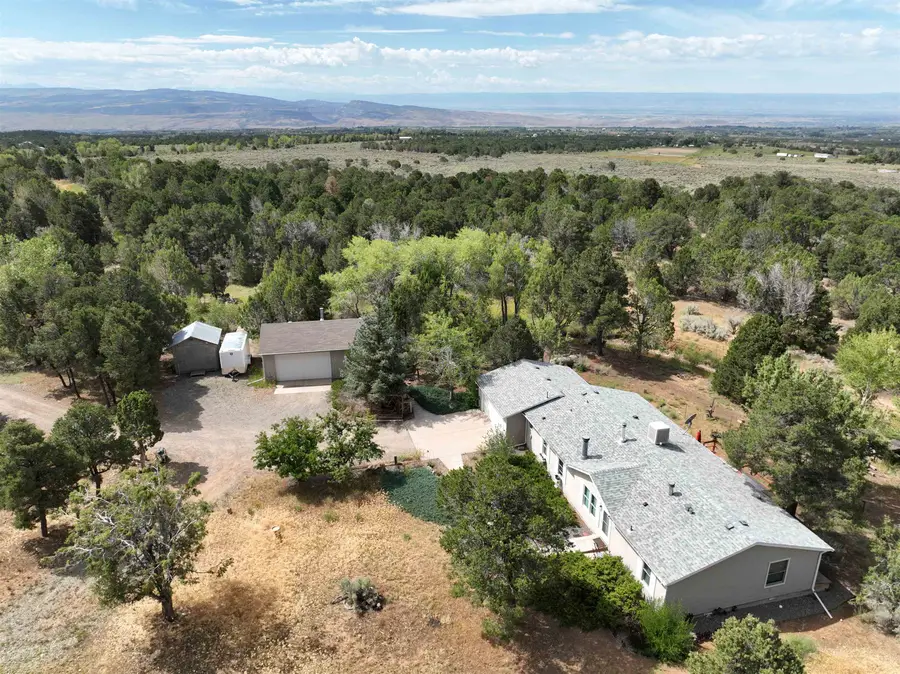 29501 P 50 Road, Hotchkiss, CO 81419 - Image #3