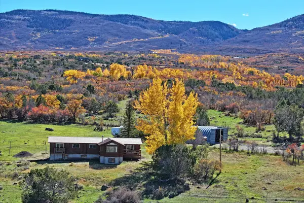 9564 52 1/2 Road, Mesa, CO 81643