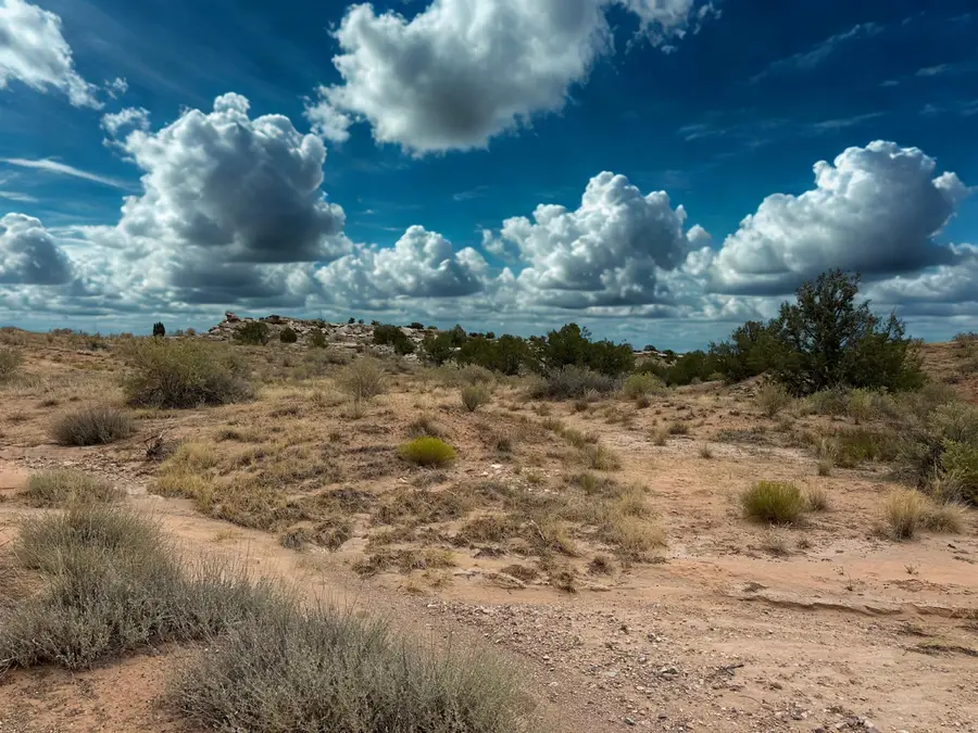 TBD Prince Court, Fruita, CO 81521 - Image #2