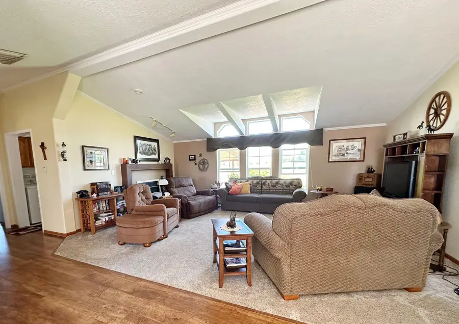 13147 Alboe Lane, Eckert, CO 81418 - Image #3