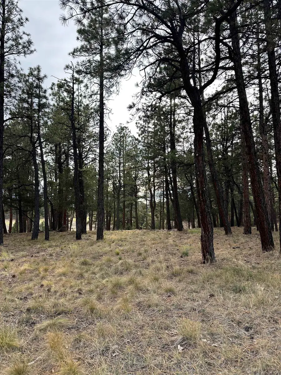 46 Marmot Drive, Ridgway, CO 81432 - Image #2