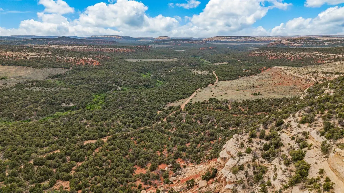 TBD S 9 8/10 Road, Glade Park, CO 81523 - #1