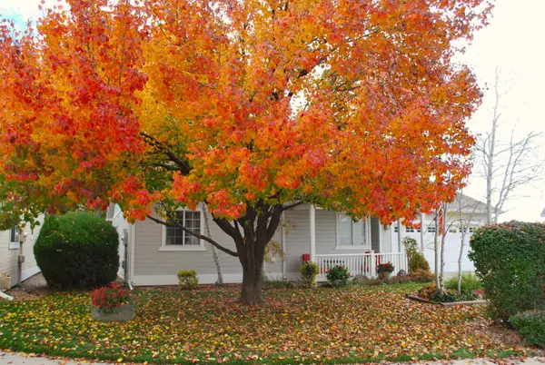 2440 Wellington Court, Grand Junction, CO 81501