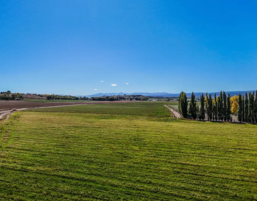 10013 5800 Road, Montrose, CO 81403 - #3